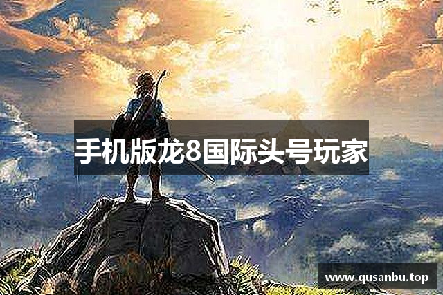 手机版龙8国际头号玩家